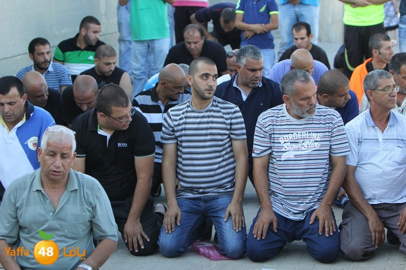 lud shababu32 (55).JPG